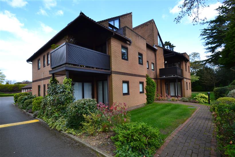 Modern Apartment To Let In Highly Sought After Area!
