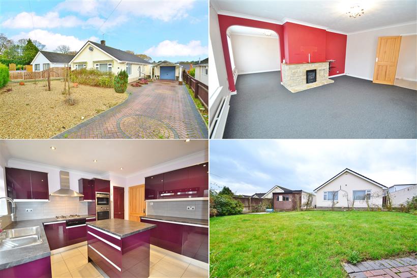 Bright and Spacious Detached Bungalow