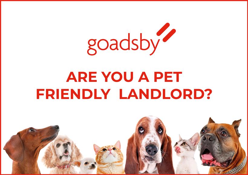 Pet Friendly Homes in Demand