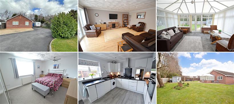 Beautiful and Spacious Bungalow in Favoured Ferndown Neighbourhood