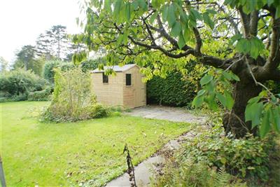 Lrage Rear Garden with Shed