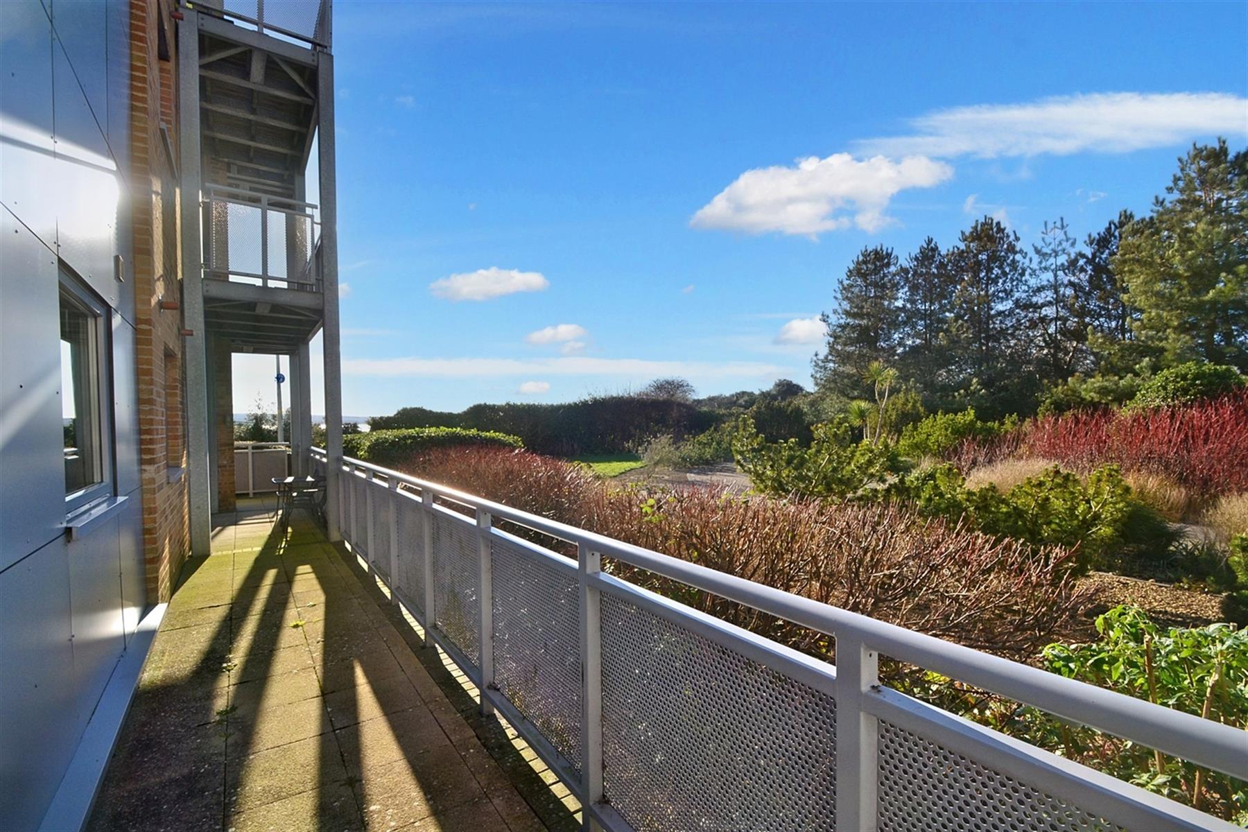 Terrace/Balcony (before scaffolding erected)