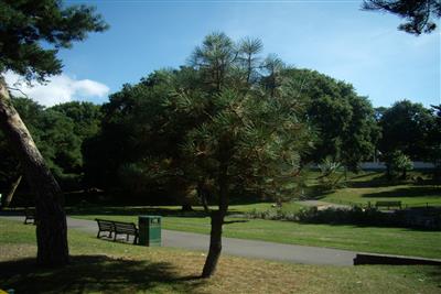 Bournemouth Gardens