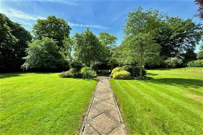 Communal Garden